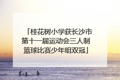 桂花树小学获长沙市第十一届运动会三人制篮球比赛少年组双冠