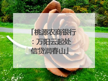 桃源农商银行：万阳云起处 信贷润春山