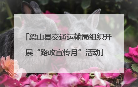 梁山县交通运输局组织开展“路政宣传月”活动