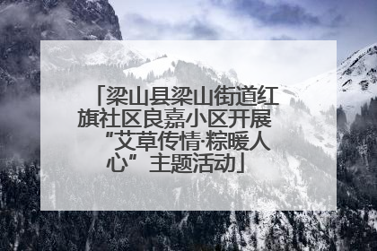 梁山县梁山街道红旗社区良嘉小区开展“艾草传情·粽暖人心”主题活动