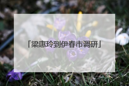 梁惠玲到伊春市调研