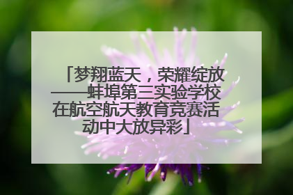 梦翔蓝天，荣耀绽放——蚌埠第三实验学校在航空航天教育竞赛活动中大放异彩