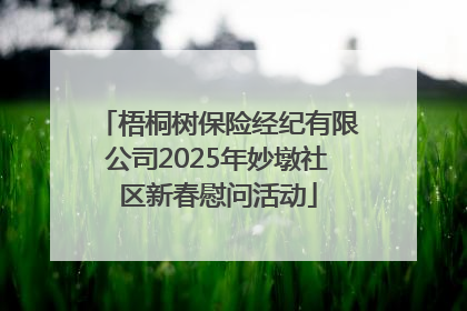 梧桐树保险经纪有限公司2025年妙墩社区新春慰问活动