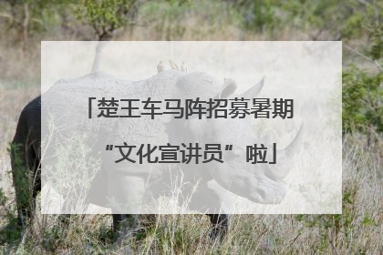 楚王车马阵招募暑期“文化宣讲员”啦