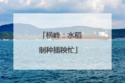 横峰：水稻制种插秧忙