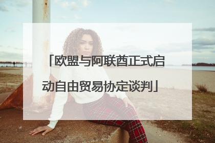 欧盟与阿联酋正式启动自由贸易协定谈判