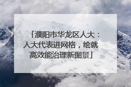 濮阳市华龙区人大：人大代表进网格，绘就高效能治理新图景