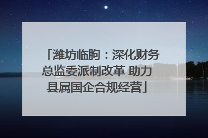 潍坊临朐：深化财务总监委派制改革 助力县属国企合规经营