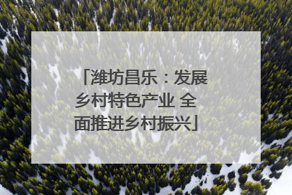 潍坊昌乐：发展乡村特色产业 全面推进乡村振兴