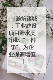 潍坊诸城：工业建设项目涉水类审批“一件事” 为企业提速增值