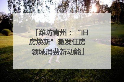 潍坊青州：“旧房焕新”激发住房领域消费新动能