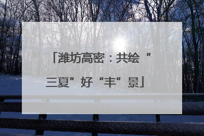 潍坊高密：共绘“三夏”好“丰”景