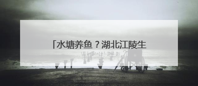水塘养鱼？湖北江陵生态养鱼模式环保又增收