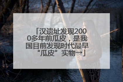 汉遗址发现2000多年前瓜皮，是我国目前发现时代最早“瓜皮”实物→