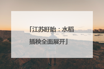 江苏盱眙：水稻插秧全面展开