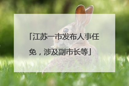 江苏一市发布人事任免，涉及副市长等