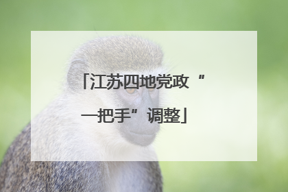 江苏四地党政“一把手”调整