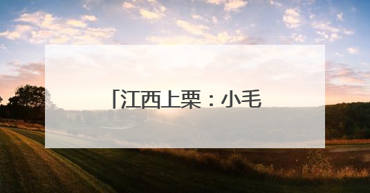江西上栗：小毛豆变“增收豆”