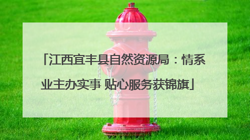 江西宜丰县自然资源局：情系业主办实事 贴心服务获锦旗