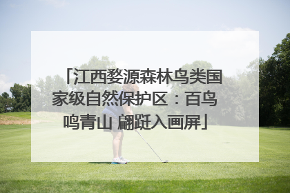 江西婺源森林鸟类国家级自然保护区：百鸟鸣青山 翩跹入画屏