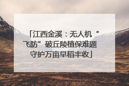 江西金溪：无人机“飞防”破丘陵植保难题 守护万亩早稻丰收