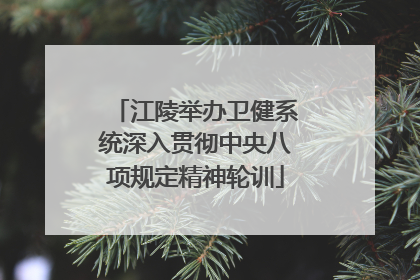 江陵举办卫健系统深入贯彻中央八项规定精神轮训