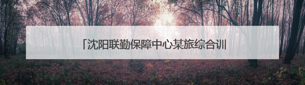 沈阳联勤保障中心某旅综合训练：新装备登场 保障力提升