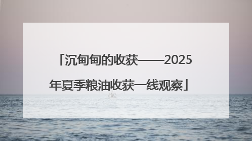 沉甸甸的收获——2025年夏季粮油收获一线观察