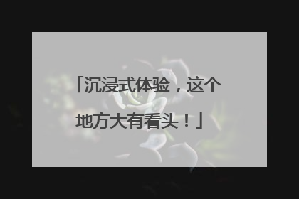 沉浸式体验，这个地方大有看头！