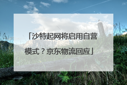 沙特起网将启用自营模式？京东物流回应