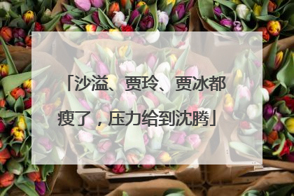 沙溢、贾玲、贾冰都瘦了，压力给到沈腾
