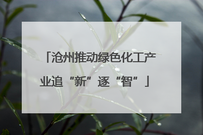 沧州推动绿色化工产业追“新”逐“智”
