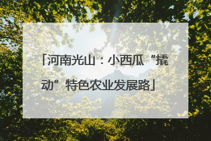 河南光山：小西瓜“撬动”特色农业发展路