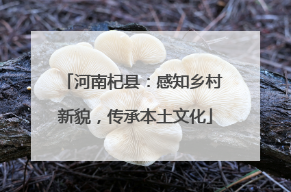 河南杞县：感知乡村新貌，传承本土文化
