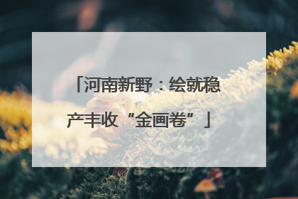 河南新野：绘就稳产丰收“金画卷”