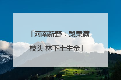 河南新野：梨果满枝头 林下土生金