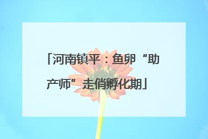 河南镇平：鱼卵“助产师”走俏孵化期
