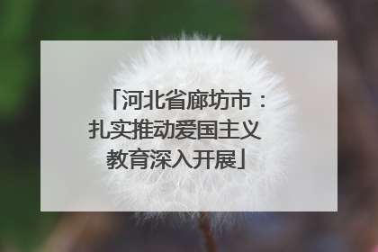 河北省廊坊市：扎实推动爱国主义教育深入开展