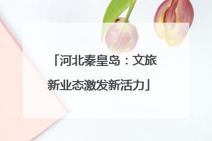 河北秦皇岛：文旅新业态激发新活力