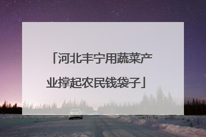 河北丰宁用蔬菜产业撑起农民钱袋子
