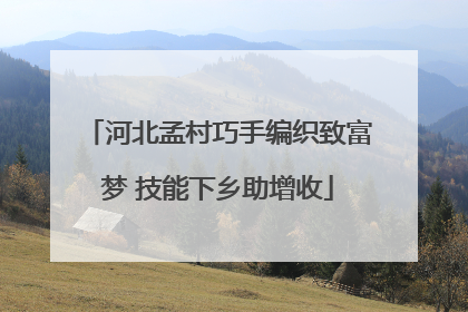 河北孟村巧手编织致富梦 技能下乡助增收