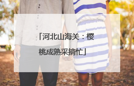 河北山海关：樱桃成熟采摘忙