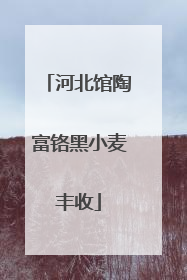 河北馆陶富铬黑小麦丰收
