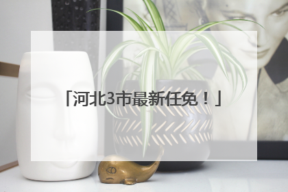 河北3市最新任免！
