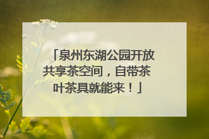 泉州东湖公园开放共享茶空间，自带茶叶茶具就能来！
