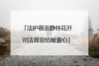 法护蓓蕾静待花开 司法育苗情暖童心