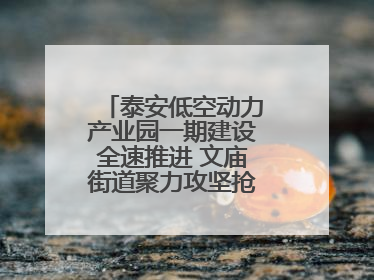 泰安低空动力产业园一期建设全速推进 文庙街道聚力攻坚抢抓“进度条”