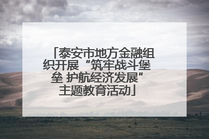泰安市地方金融组织开展“筑牢战斗堡垒 护航经济发展”主题教育活动