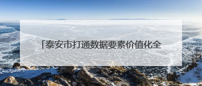 泰安市打通数据要素价值化全链路 入选省级改革精品案例