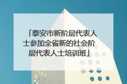 泰安市新阶层代表人士参加全省新的社会阶层代表人士培训班